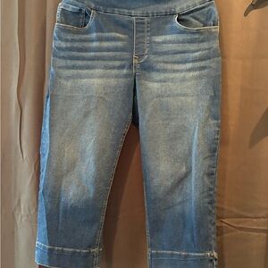 Classic Blue Ankle Jeans for Women